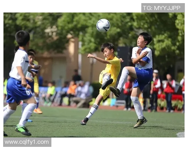 酷虎足球引领新潮流打造青少年足球梦想的摇篮与竞技平台